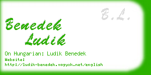 benedek ludik business card